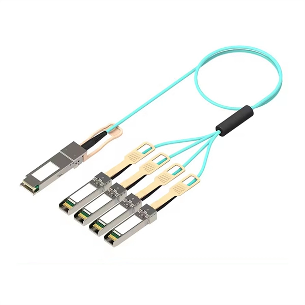 Quality Assured Fiber Optic Enterprise Router 2 5G