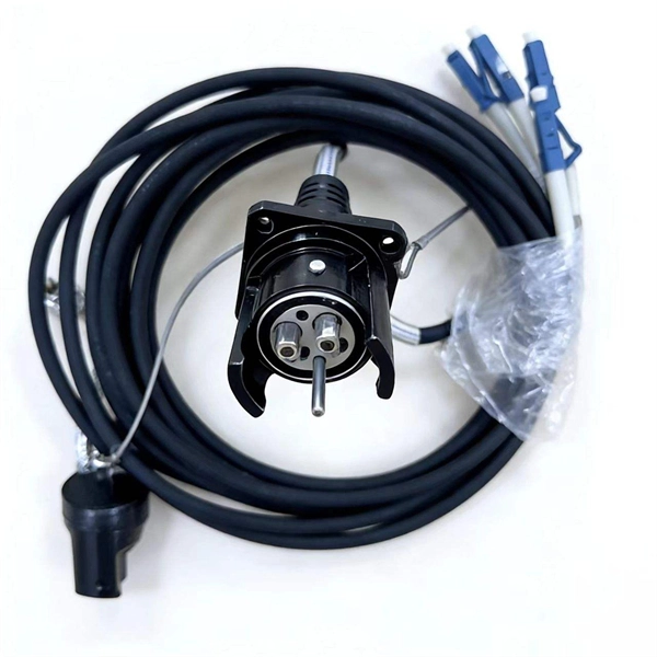 Customization Process for High-Temperature Resistant Ceramic Fuse for Campus Networks