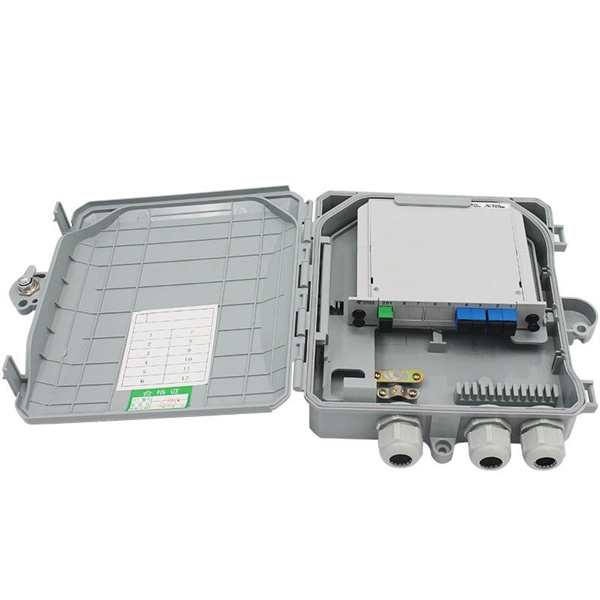 The optical module on ru