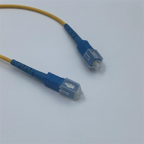 ONT Optical Network Terminal DML Customization