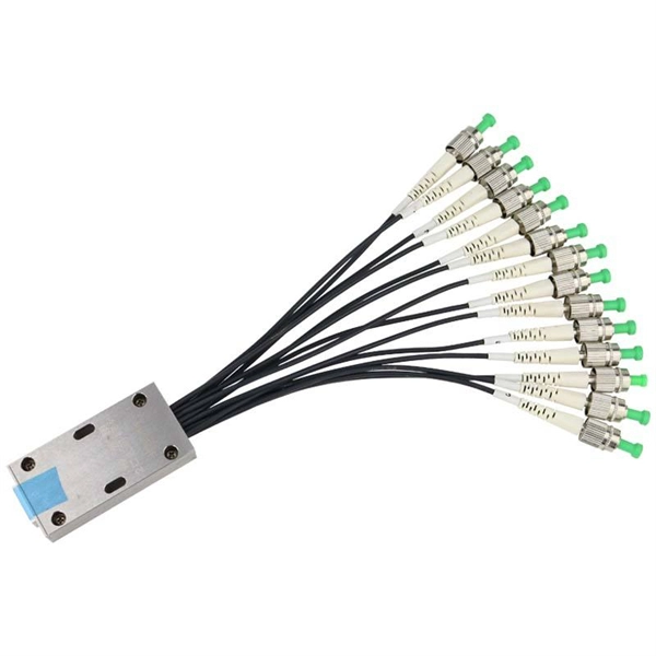 1000 Fiber Optic Cable with Router