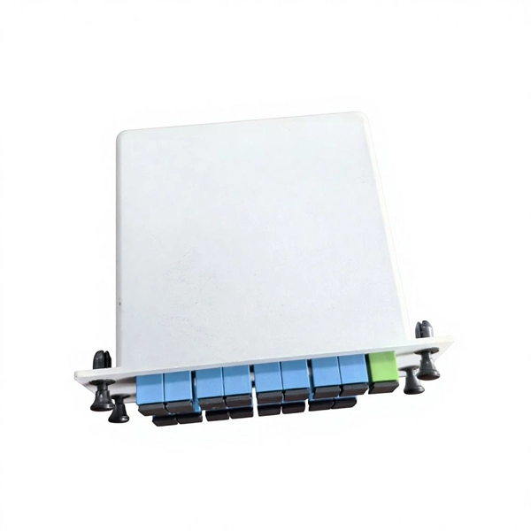After installing fiber optic cable there are two routers